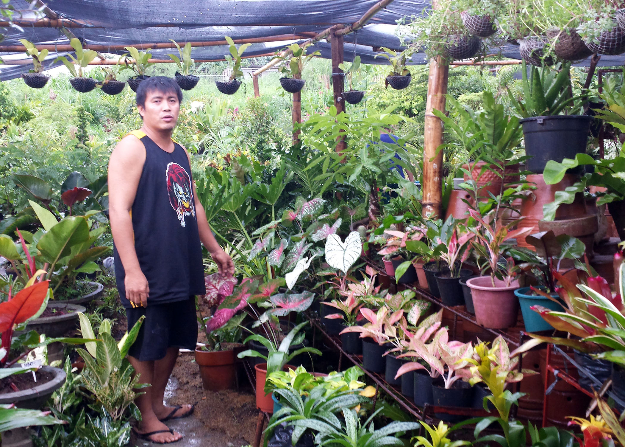 Wilredo Valencia, Jr. with his garden of plants in San Jose Del Monte, Bulacan